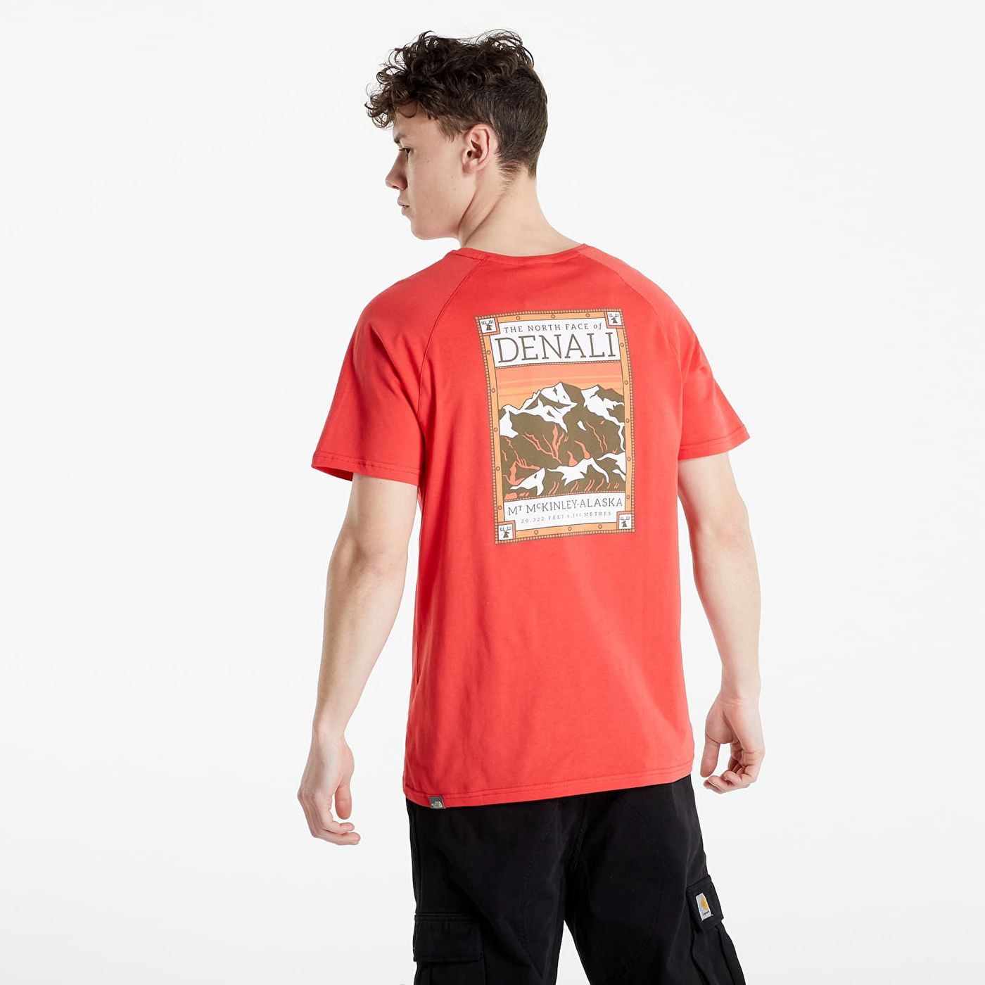 NF00CEQ8V331 - T-Shirt e Polo - THE NORTH FACE