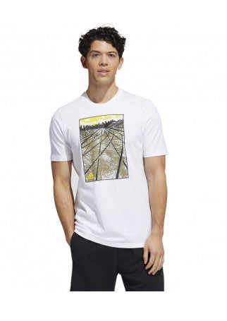 HK6742 - T-Shirt e Polo - ADIDAS