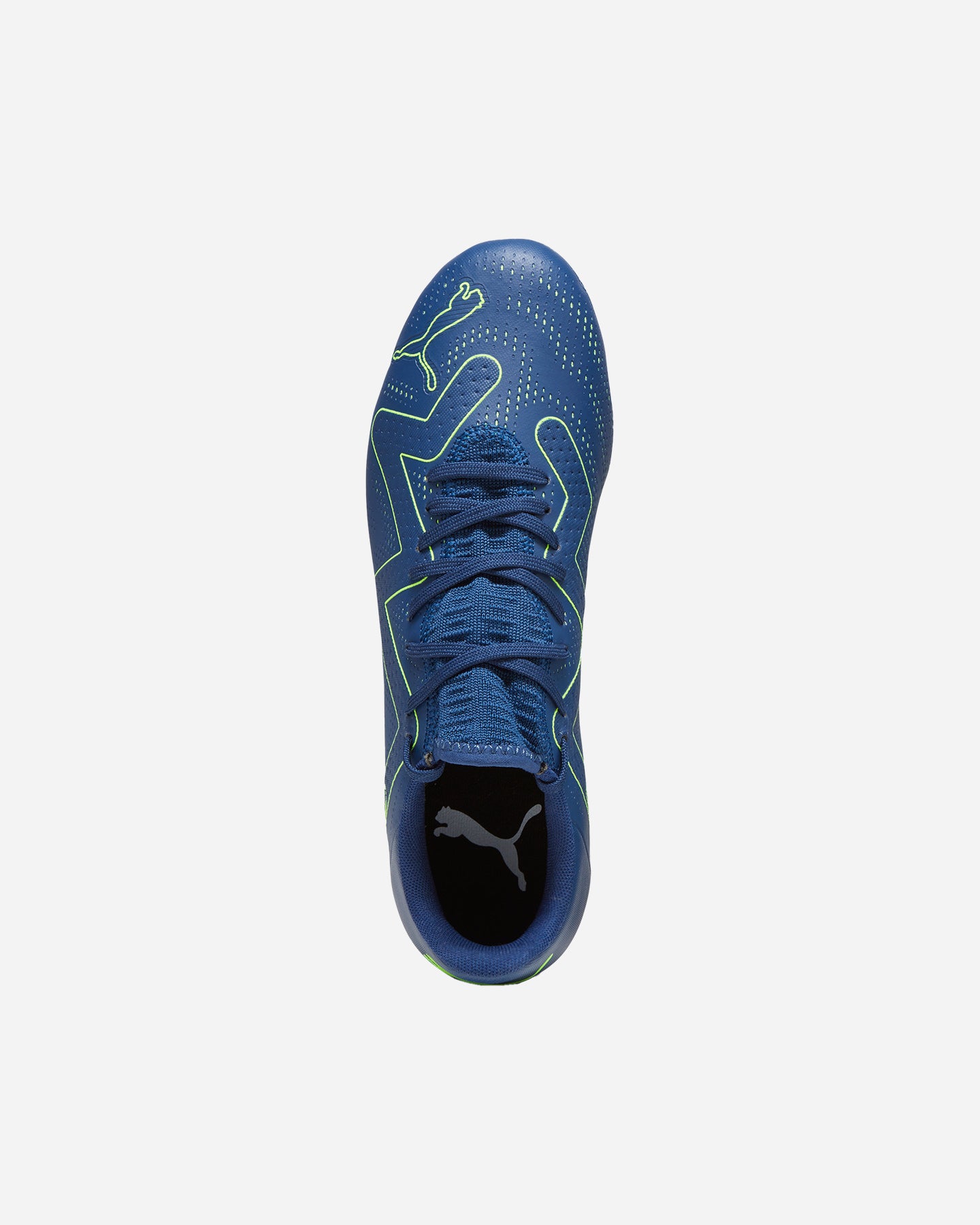 107376-03 FUTURE PLAY MxSG Persian Blue-Pro Green