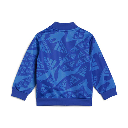 ADI I CAMLOG TS BROYAL/SELUBL IQ4079