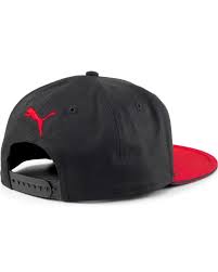 024564-01 - Cappelli - PUMA