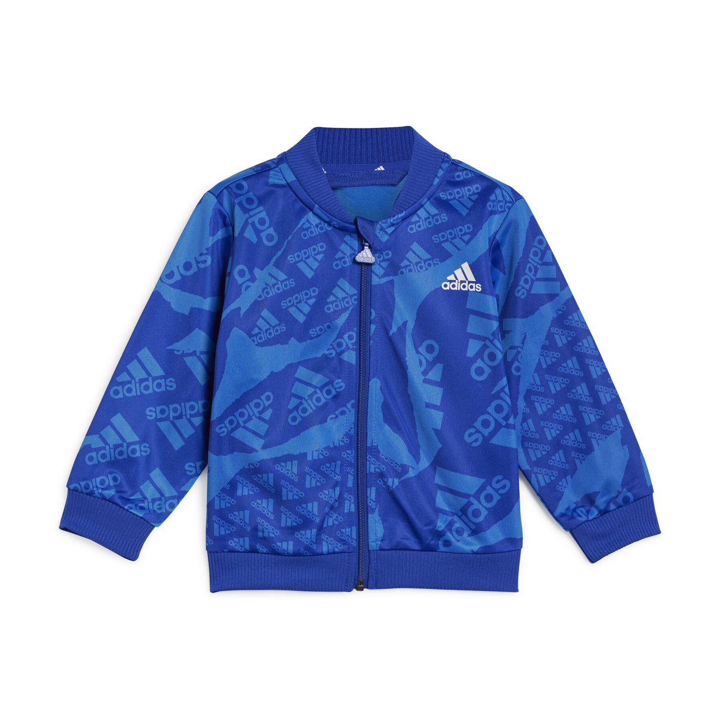 ADI I CAMLOG TS BROYAL/SELUBL IQ4079