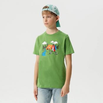 Nike Sportswear CHLOROPHYLL DQ3854-377