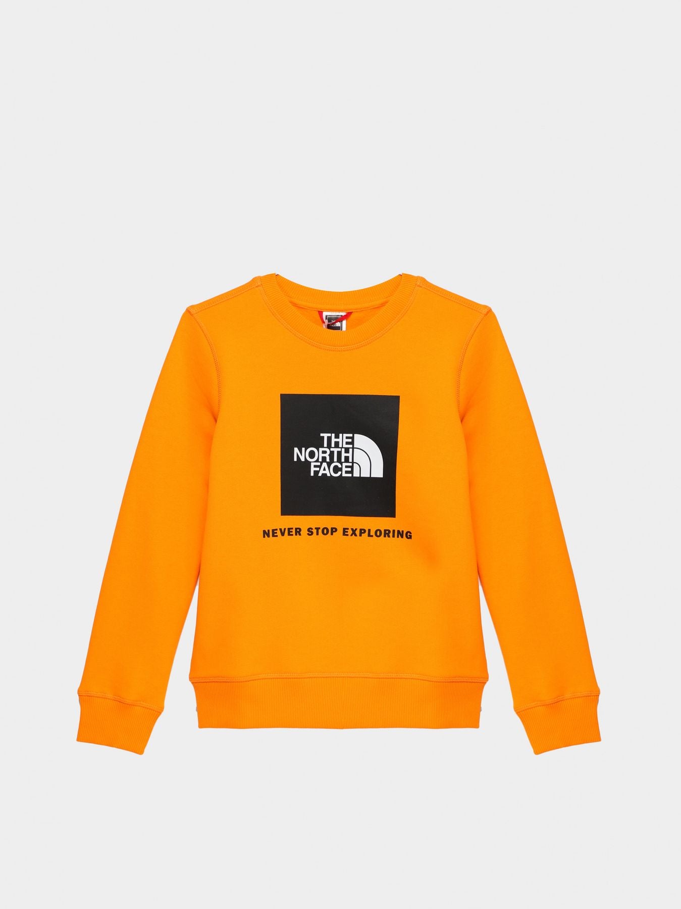 NF0A7X5978M1 - Felpe - THE NORTH FACE