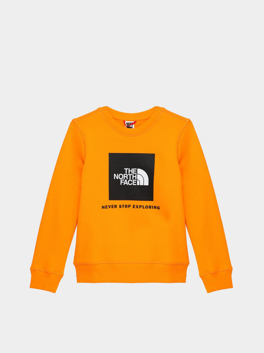 NF0A7X5978M1 - Felpe - THE NORTH FACE