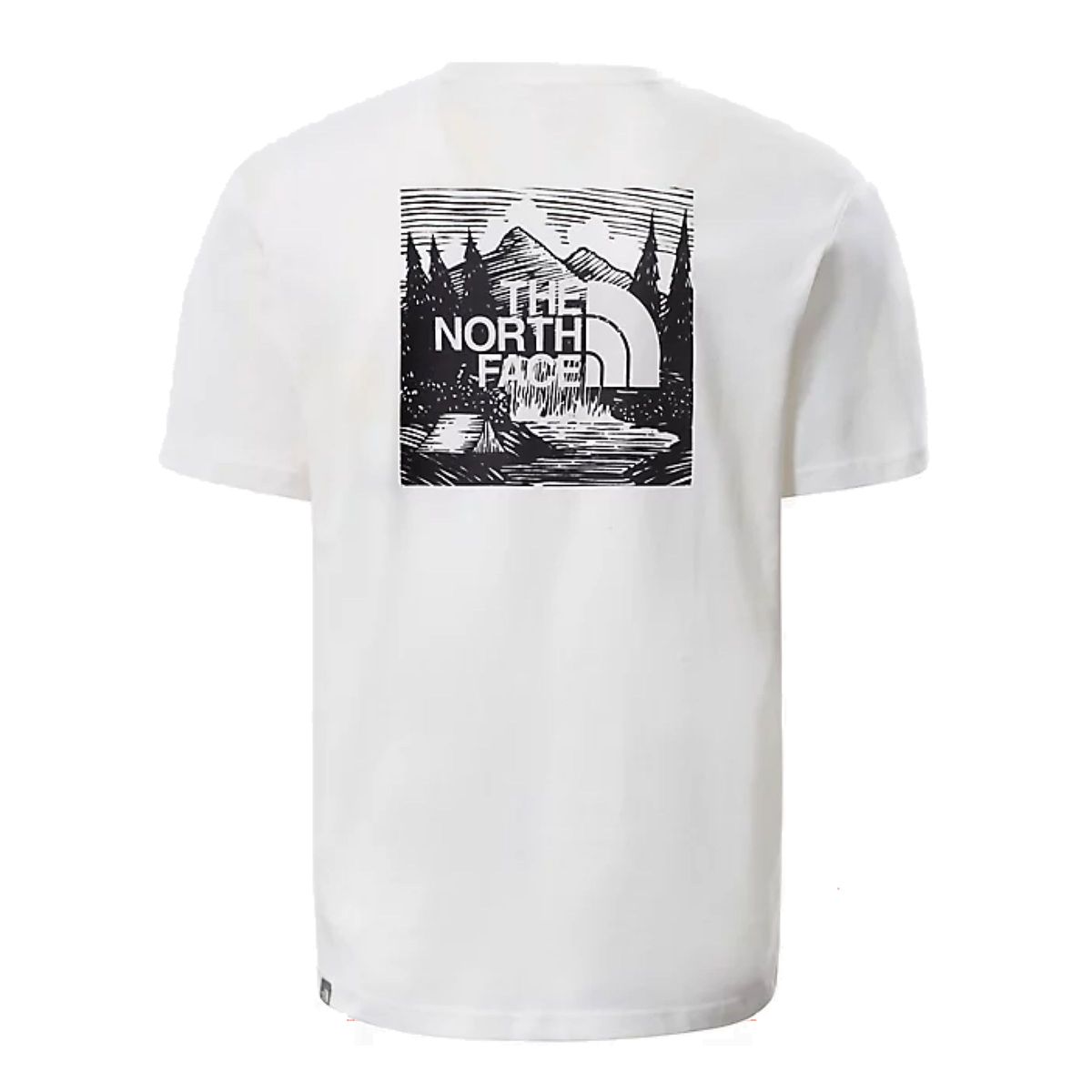 NF0A2ZXEFN41 - T-Shirt e Polo - THE NORTH FACE