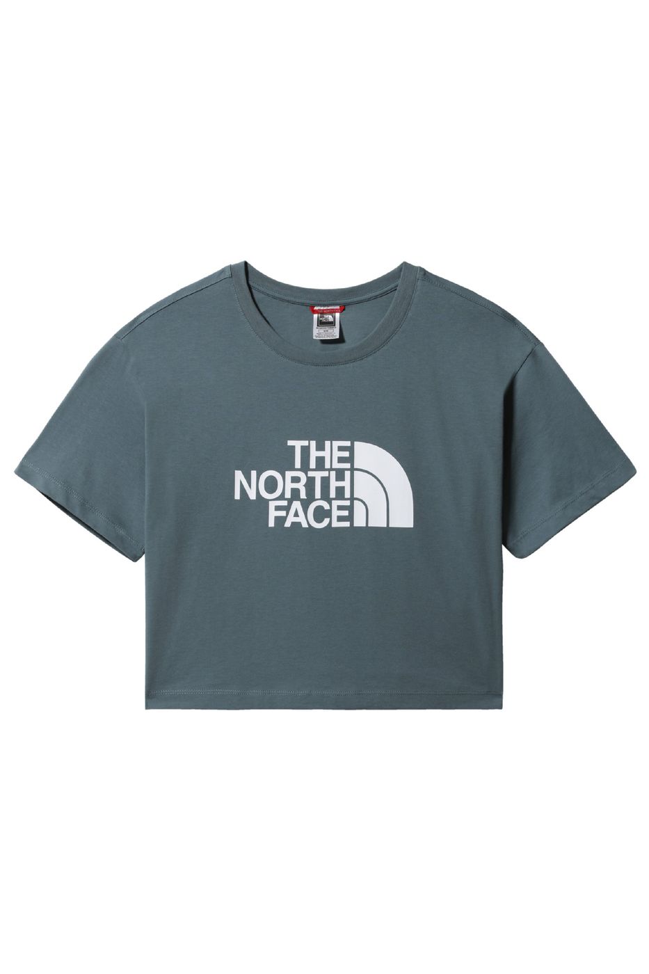 NF0A4T1RA9L1 - T-Shirt e Polo - THE NORTH FACE