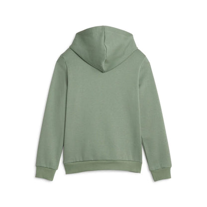 849081-44 ESS Block Hoodie FL B Eucalyptus