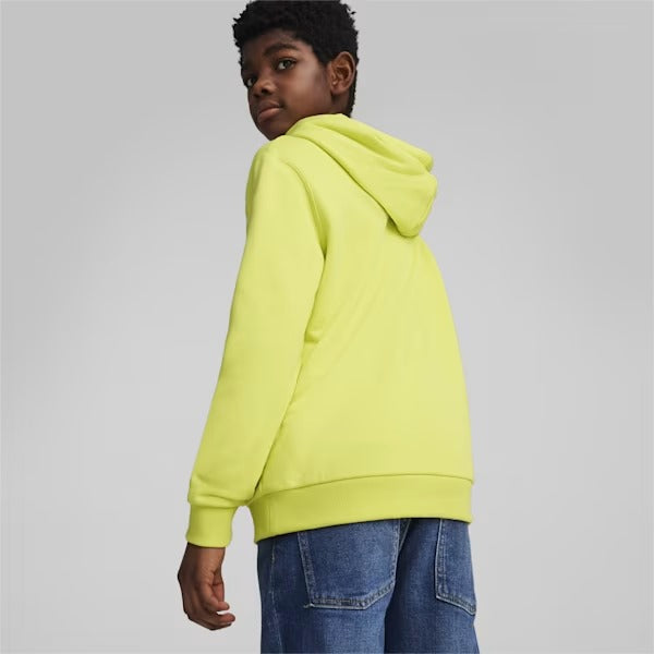 PUM PUMA POWER GRAPHIC HOODIE TR B LIME SHEEN 679256-38