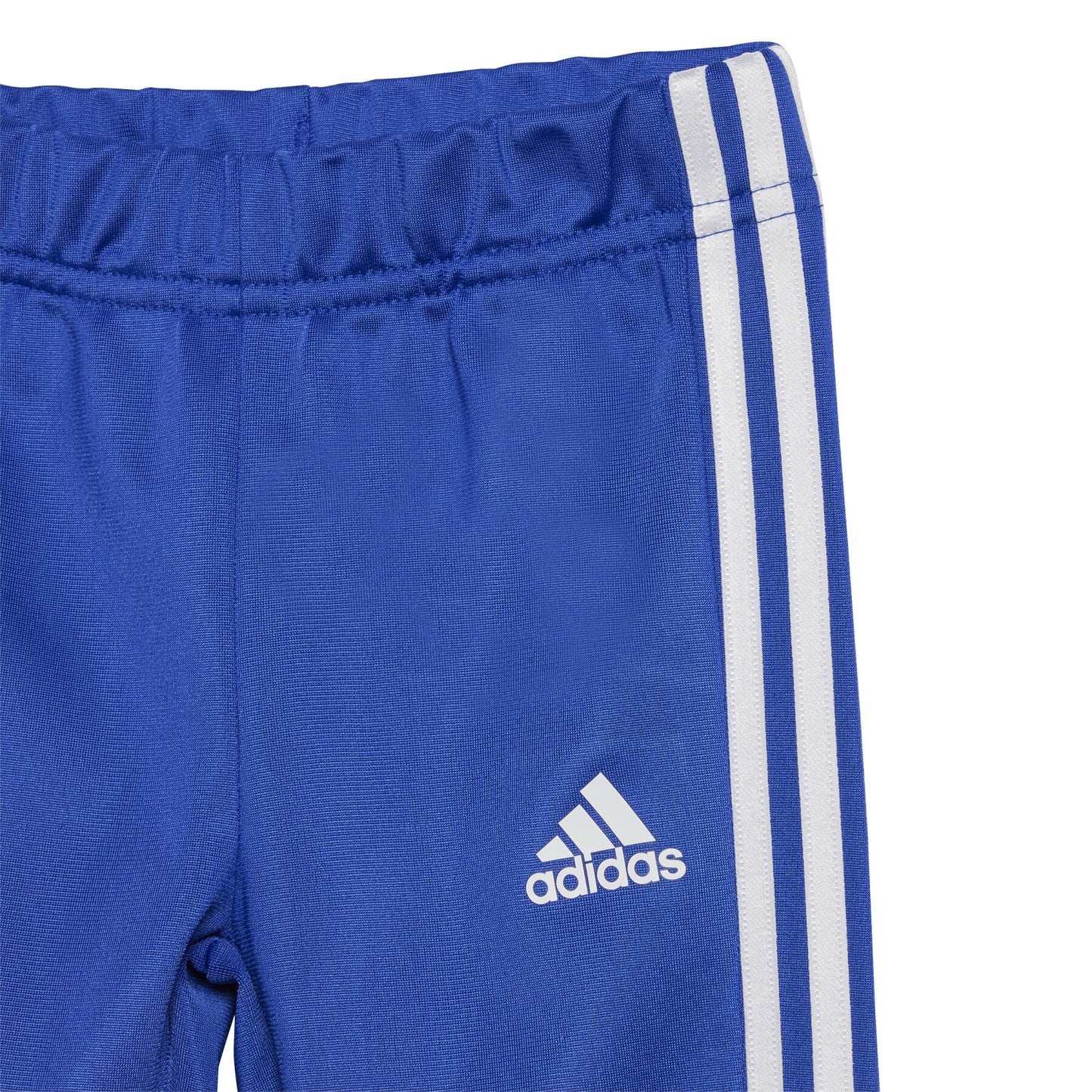 ADI I CAMLOG TS BROYAL/SELUBL IQ4079