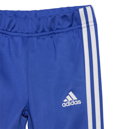 ADI I CAMLOG TS BROYAL/SELUBL IQ4079