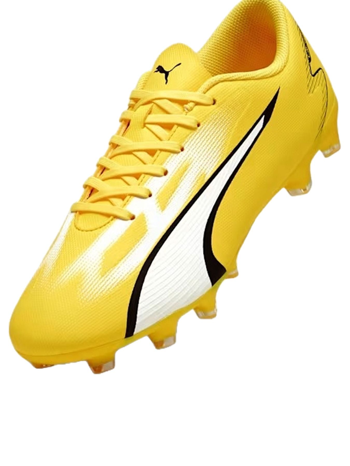 Sport You